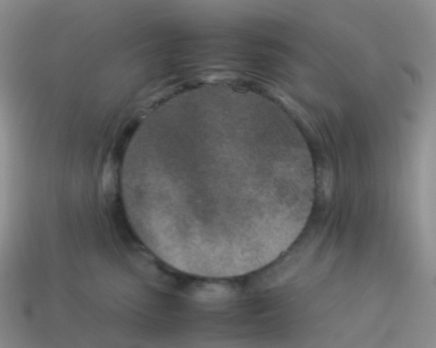 X0000113540475200910161416