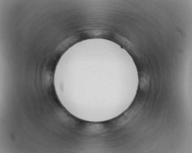 X0000113540476200910161416