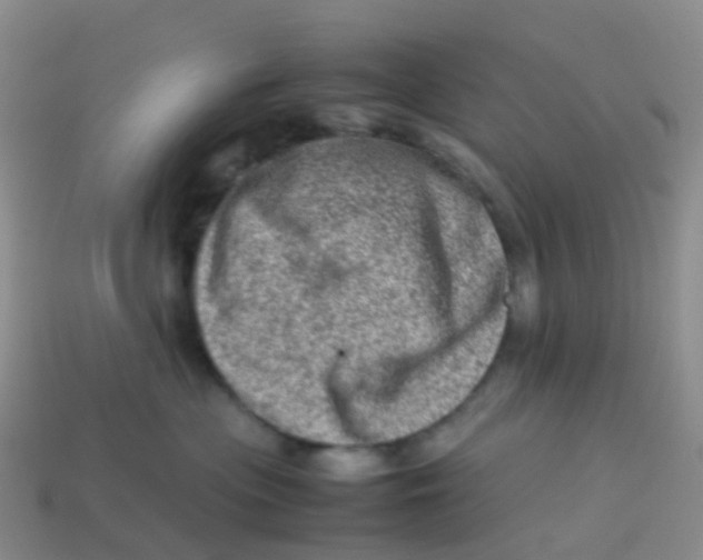 X0000113540477200910161416