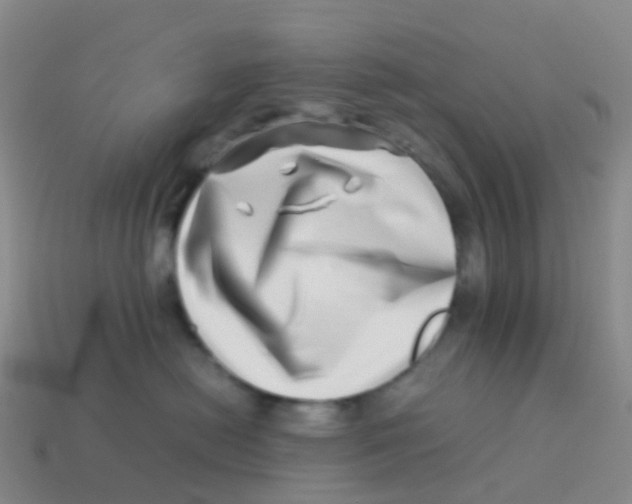 X0000113540478200910161416