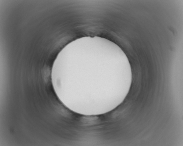 X0000113540480200910161416