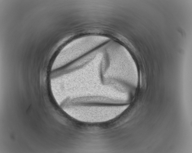 X0000113540483200910161415