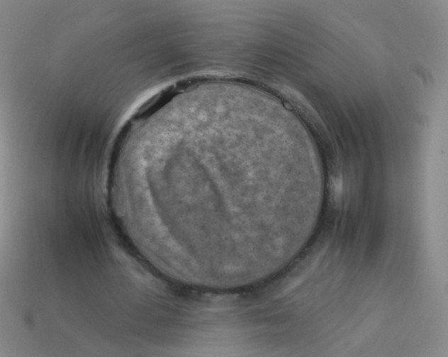 X0000113540484200910161415