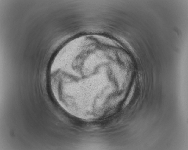 X0000113540487200910161415