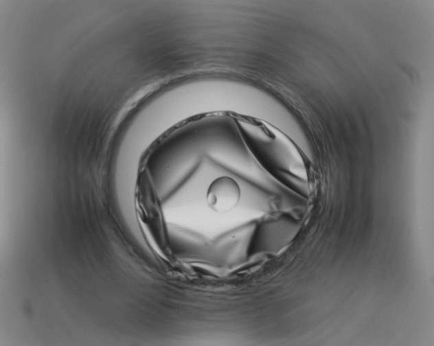 X0000113540488200910161415
