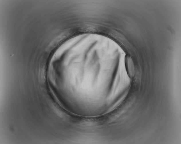 X0000113540489200910161415