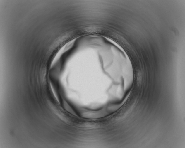 X0000113540490200910161415