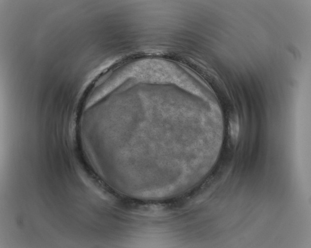 X0000113540492200910161415