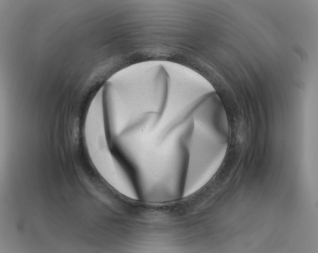 X0000113540494200910161415
