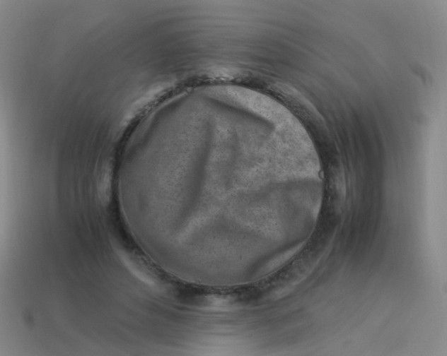 X0000113540496200910161415