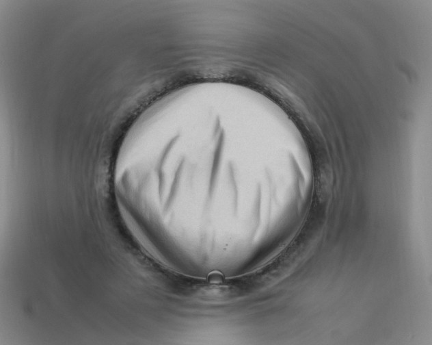 X0000113540497200910161415