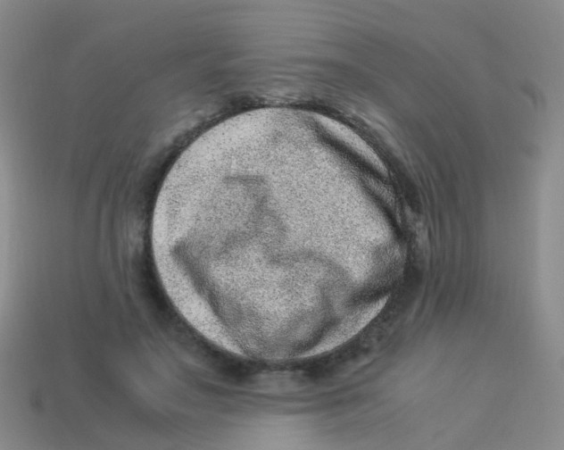 X0000113540499200910161415