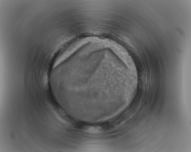 X0000113540500200910161415
