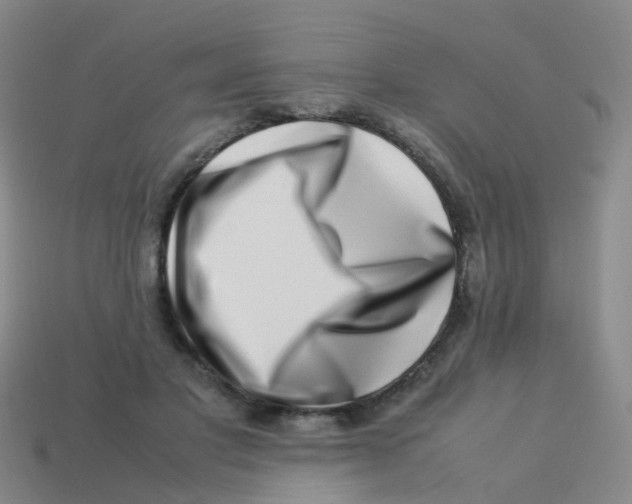 X0000113540501200910161415