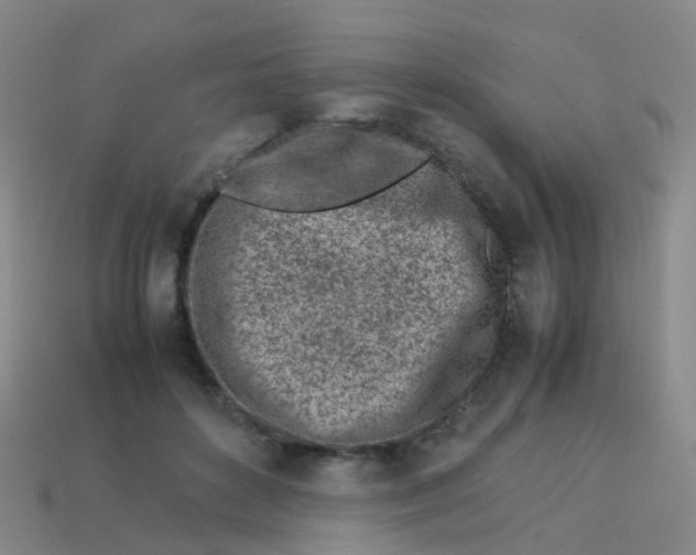 X0000113540504200910161415