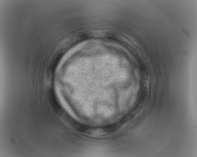 X0000113540507200910161415