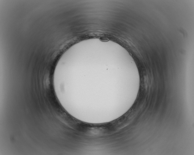 X0000113540508200910161415