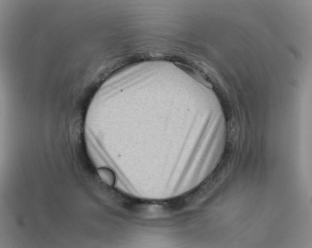 X0000113540509200910161415