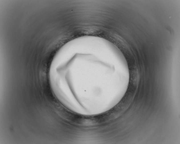 X0000113540510200910161415