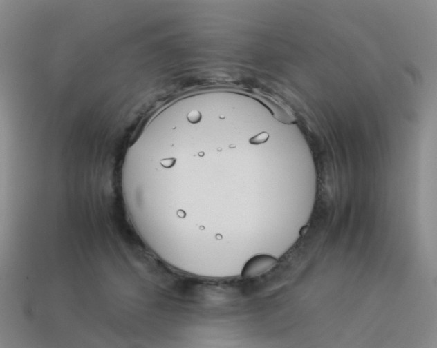 X0000113540512200910161415