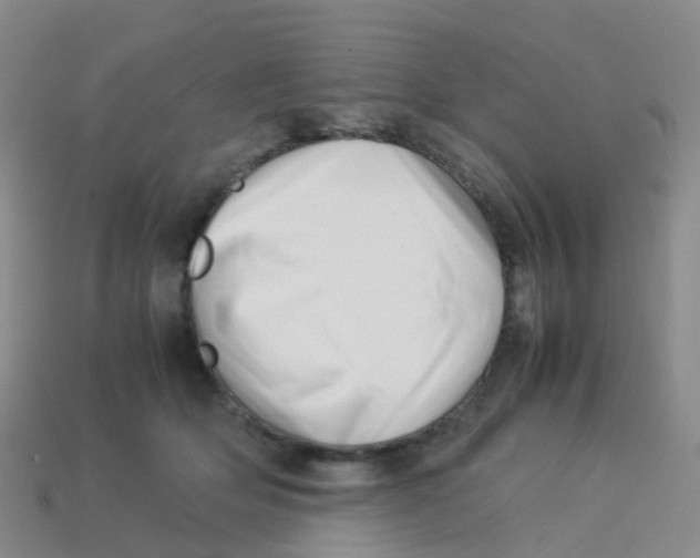 X0000113540514200910161415