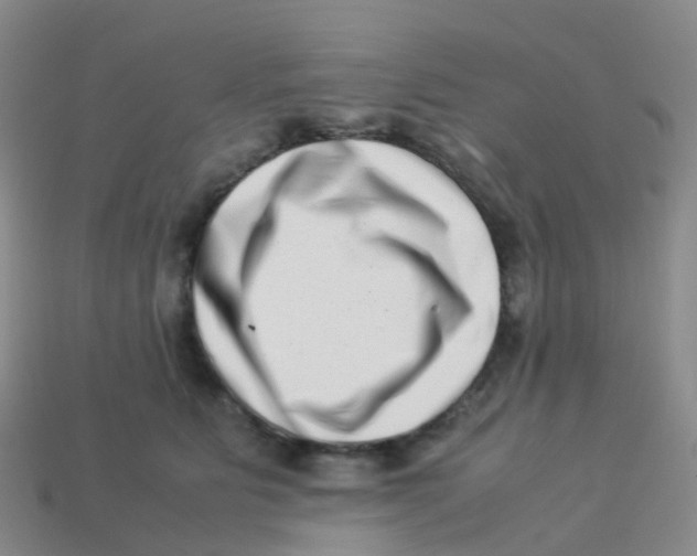 X0000113540515200910161415