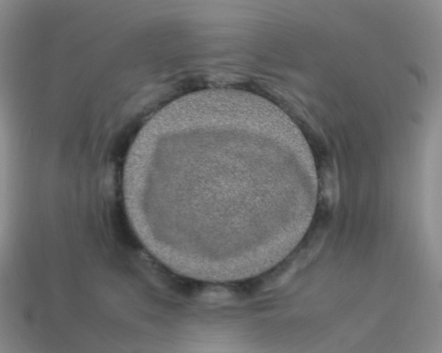 X0000113540519200910161415