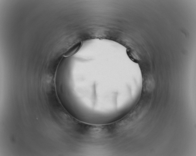 X0000113540521200910161415