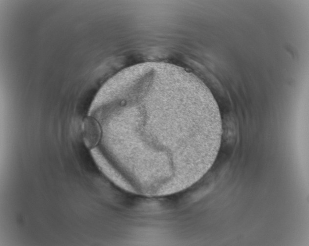 X0000113540523200910161415