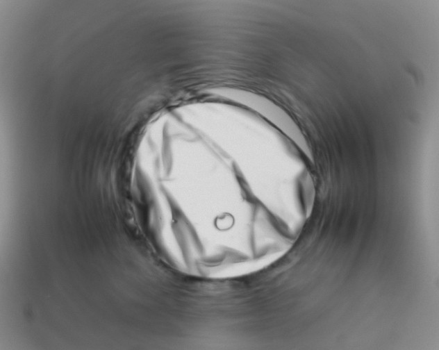 X0000113540524200910161415