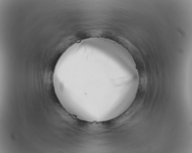 X0000113540525200910161415