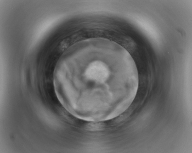 X0000113540526200910161415