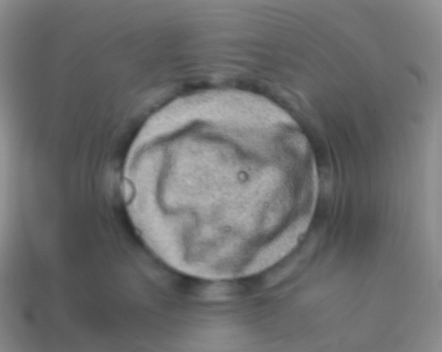 X0000113540527200910161415
