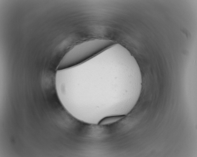 X0000113540528200910161415