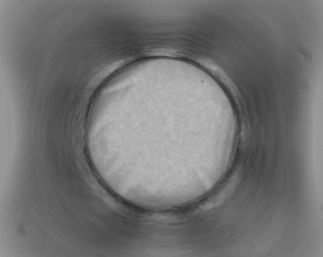 X0000113540529200910161414