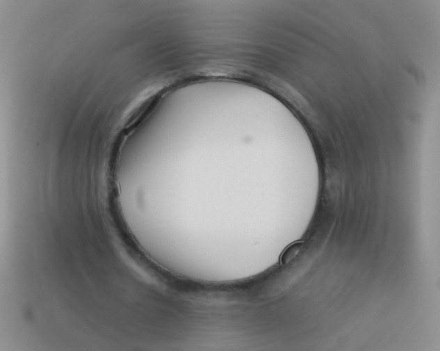 X0000113540530200910161414