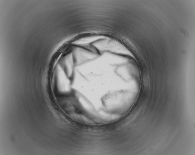 X0000113540532200910161414
