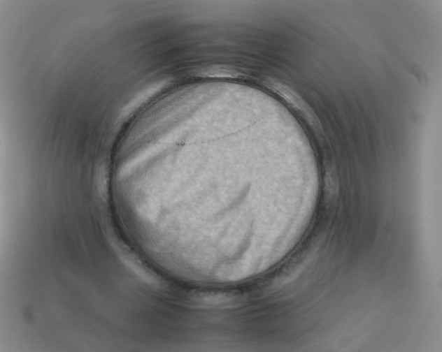 X0000113540533200910161414