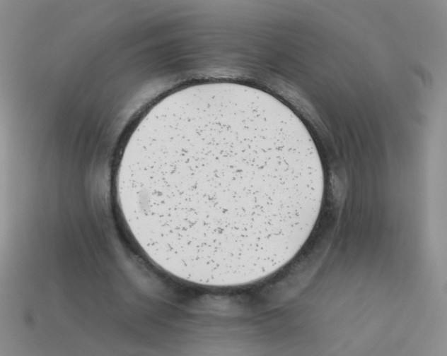 X0000113540534200910161414