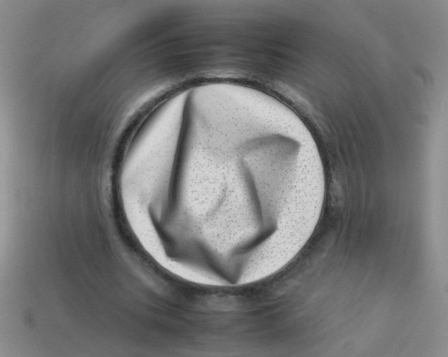 X0000113540535200910161414