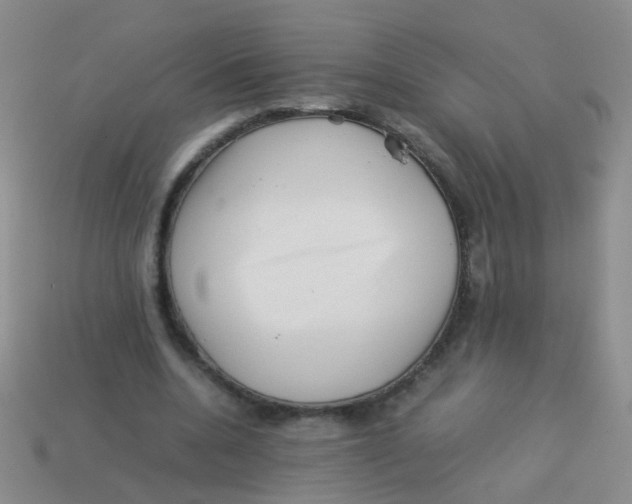 X0000113540536200910161414