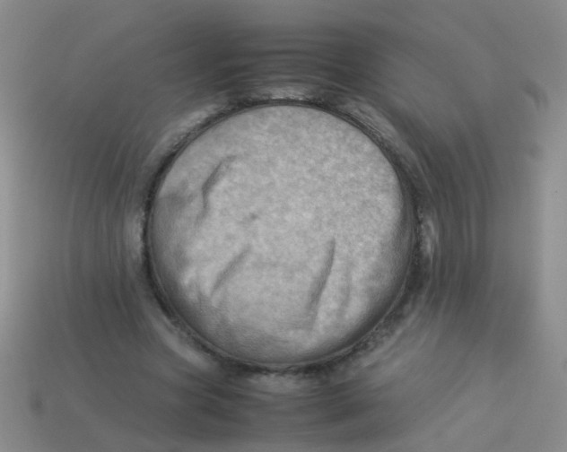 X0000113540537200910161414