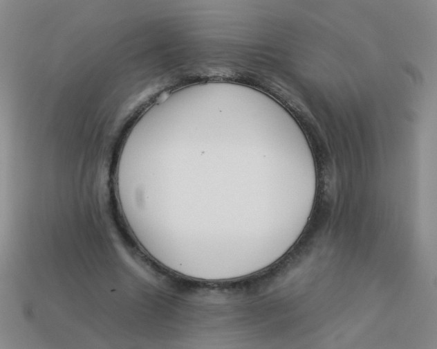 X0000113540538200910161414