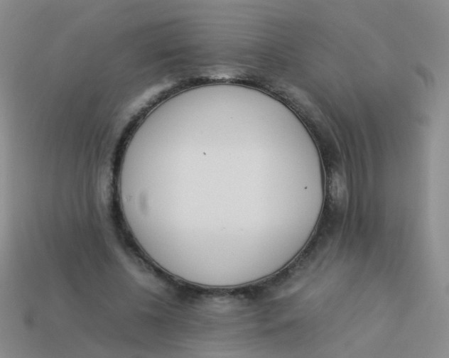 X0000113540540200910161414