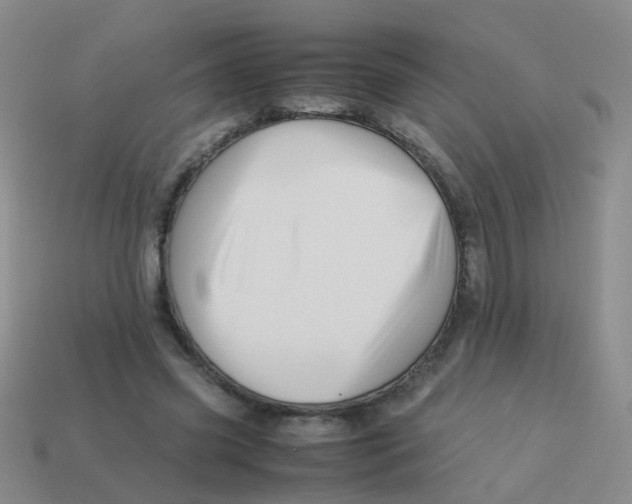 X0000113540541200910161414