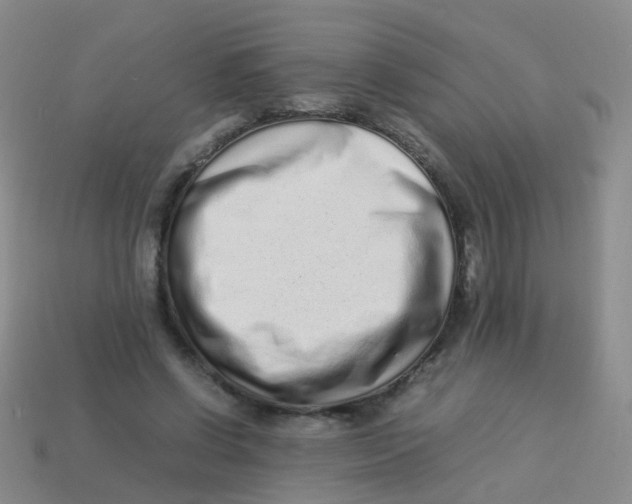 X0000113540542200910161414