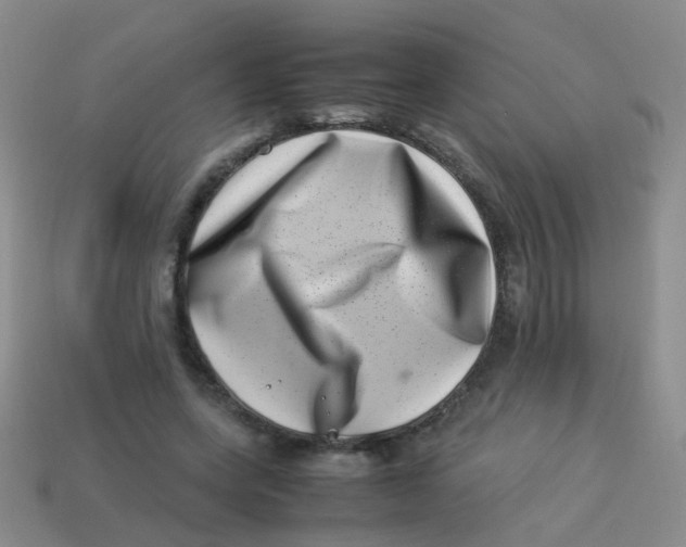 X0000113540543200910161414