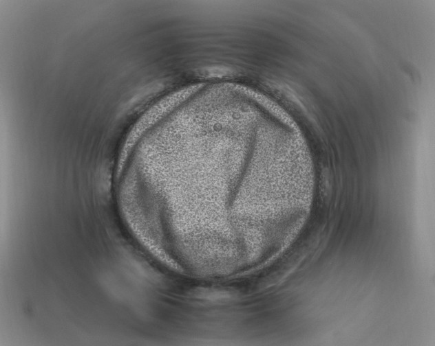 X0000113540545200910161414