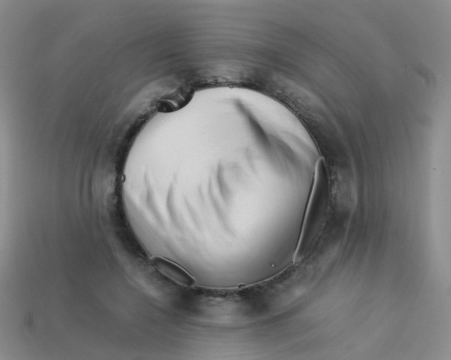 X0000113540548200910161414