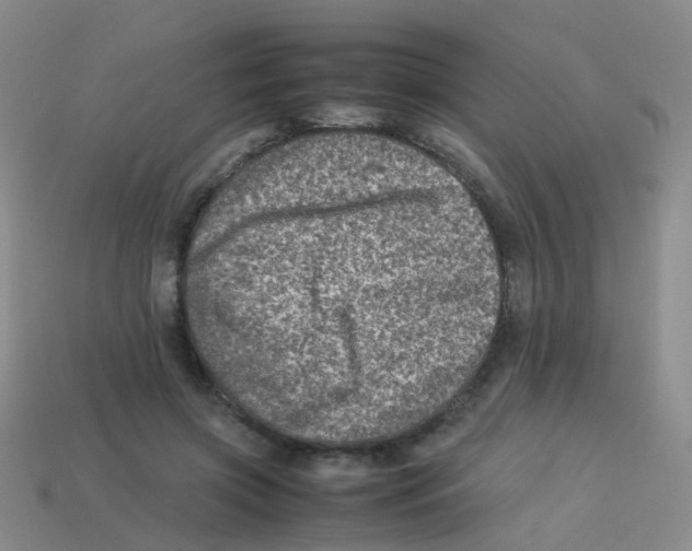 X0000113540549200910161414